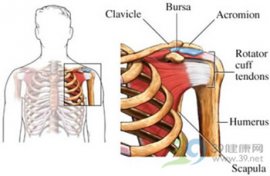 轻松学会肩周炎的自我按摩