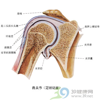 综合防治肩周炎