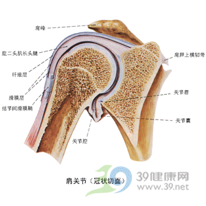 中医中药治疗肩周炎