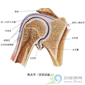 通补兼施辨治肩周炎