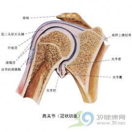 教你正确对待骨质增生